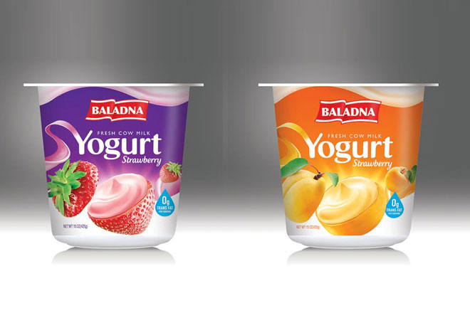 Baladna Yogurt